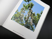 Load image into Gallery viewer, Buck Ellison – Living Trust (Rare)