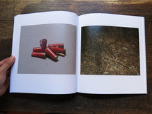 Load image into Gallery viewer, Warwick Baker - Belanglo