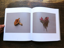 Load image into Gallery viewer, Warwick Baker - Belanglo