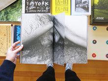 Load image into Gallery viewer, Ying Ang – The Quickening