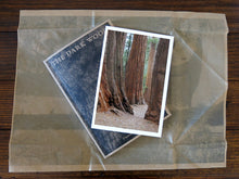 Load image into Gallery viewer, SPECIAL EDITION: Danielle Mericle – The Dark Wood