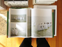 Load image into Gallery viewer, Chloe Dewe Mathews – Thames Log