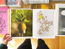 Load image into Gallery viewer, Still Life