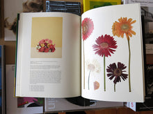 Load image into Gallery viewer, Taryn Simon - Paperwork and the Will of Capital