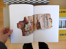 Load image into Gallery viewer, Bad Luck, Hot Rocks: Conscience Letters & Photographs from the Petrified Forest (Second Edition)