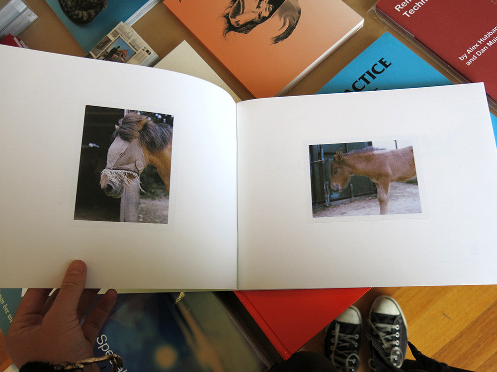 Charlotte Dumas - WORK HORSE – Perimeter Books