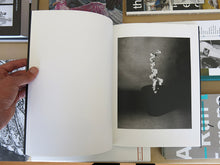 Load image into Gallery viewer, Taiyo Onorato & Nico Krebs - Light of Other Days