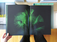 Load image into Gallery viewer, Michele Sibiloni – Nsenene