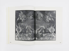 Load image into Gallery viewer, Izabela Pluta – Figures of slippage and oscillation