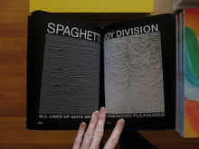 Load image into Gallery viewer, Vieceli & Cremers – Division Of Pleasures