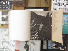 Load image into Gallery viewer, James Whiting – Roaming Near The Fireplace