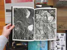 Load image into Gallery viewer, Lawrence McCrabb – Wreckage