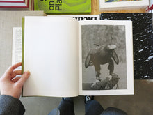 Load image into Gallery viewer, Matt Dunne – The Killing Sink