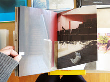 Load image into Gallery viewer, Martien Mulder - The City Beautiful