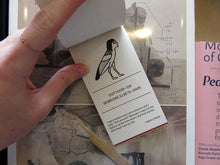 Load image into Gallery viewer, Tamara Shopsin & Jason Fulford – OFFLINE ACTIVITES