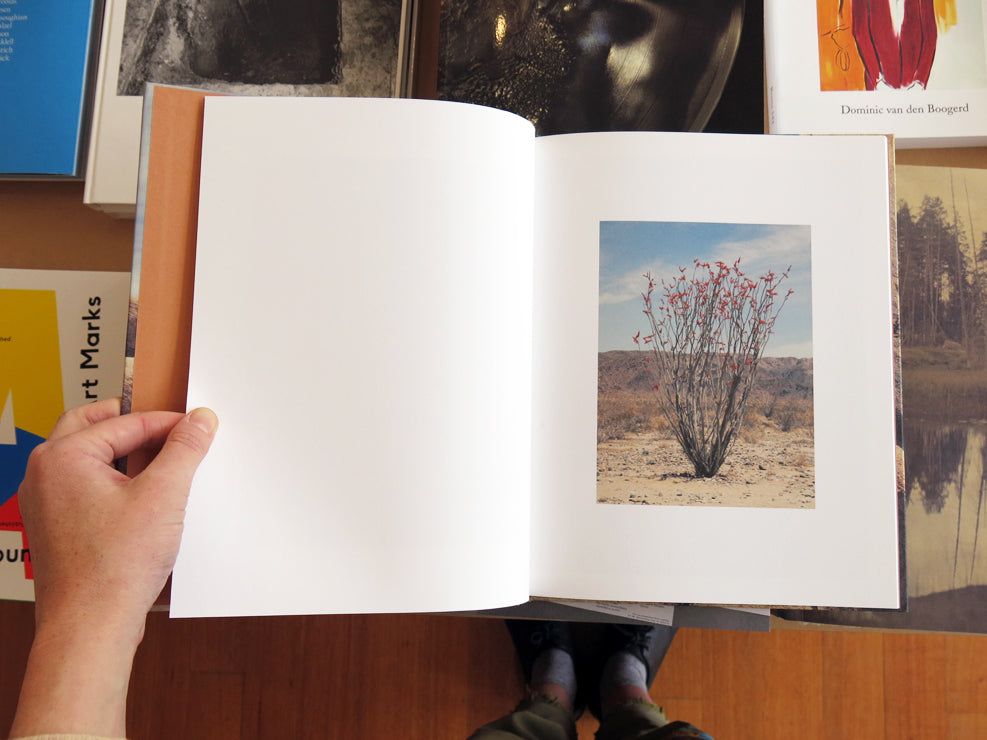 アート・デザイン・音楽 No Water Romain Laprade Romain Laprade – No Water – Perimeter Books