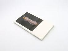 Load image into Gallery viewer, Lenard Smith – Melancholy Objects