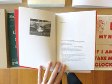 Load image into Gallery viewer, Steve Carr – Watermelon