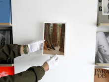 Load image into Gallery viewer, SPECIAL EDITION: Danielle Mericle – The Dark Wood