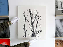 Load image into Gallery viewer, SPECIAL EDITION: Luke Le – What are you looking for?