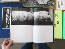 Load image into Gallery viewer, SERI(a) 2: Silk is a Noun