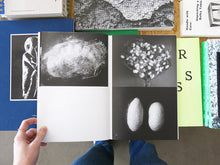 Load image into Gallery viewer, SERI(a) 2: Silk is a Noun