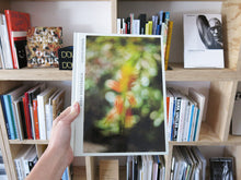 Load image into Gallery viewer, Terri Weifenbach – Cloud Physics