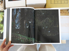 Load image into Gallery viewer, Terri Weifenbach – Cloud Physics