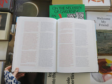 Load image into Gallery viewer, Emanuel Halpern – Paradoxer Schattenboxer