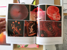 Load image into Gallery viewer, Marjolijn Dijkman - Radiant Matter