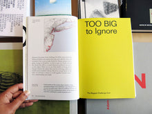 Load image into Gallery viewer, Too Big Rebuild By Design A Transformative Response To Climate Change