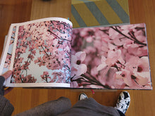 Load image into Gallery viewer, Thomas Demand &amp; Ben Lerner - Blossom