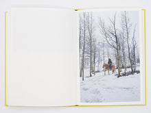 Load image into Gallery viewer, Bec Parsons – Lone Dove