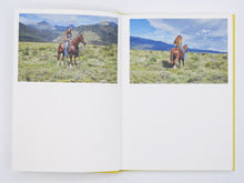 Load image into Gallery viewer, Bec Parsons – Lone Dove