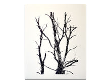 Load image into Gallery viewer, SPECIAL EDITION: Luke Le – What are you looking for?