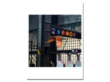 Load image into Gallery viewer, SPECIAL EDITION: David Rothenberg – Roosevelt Station