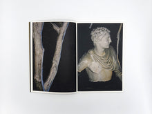 Load image into Gallery viewer, SPECIAL EDITION: Danielle Mericle – The Dark Wood