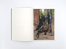 Load image into Gallery viewer, SPECIAL EDITION: Danielle Mericle – The Dark Wood