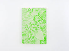 Load image into Gallery viewer, SPECIAL EDITION: Luke Le – What are you looking for?