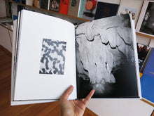 Load image into Gallery viewer, Aleix Plademunt - Almost There