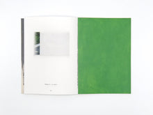 Load image into Gallery viewer, David Thomas – Amid