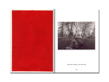 Load image into Gallery viewer, SPECIAL EDITION: David Thomas – Amid