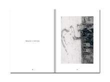 Load image into Gallery viewer, SPECIAL EDITION: David Thomas – Amid