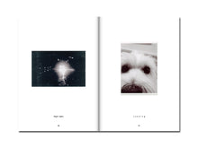 Load image into Gallery viewer, SPECIAL EDITION: David Thomas – Amid
