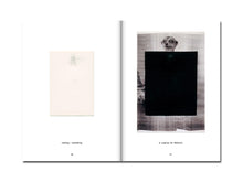 Load image into Gallery viewer, SPECIAL EDITION: David Thomas – Amid