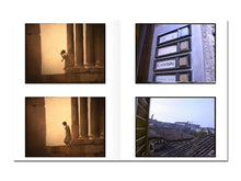 Load image into Gallery viewer, PRE-ORDER: Ken Whisson and John Foubister: Going Back In