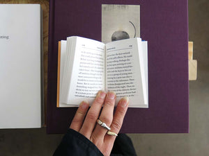 Mario Bellatin – Mishima's Head