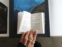 Load image into Gallery viewer, Bob Flanagan – Fuck Journal