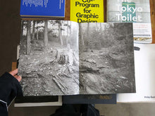 Load image into Gallery viewer, Florence Cuschieri – La Ronde des hirondelles