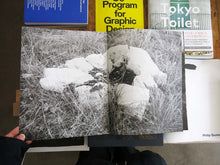 Load image into Gallery viewer, Florence Cuschieri – La Ronde des hirondelles